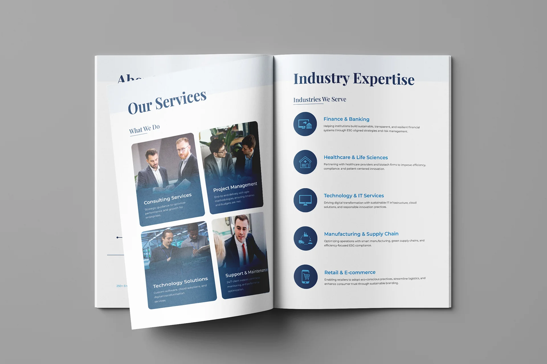 Inside page showcasing services and expertise of Vertex Solutions